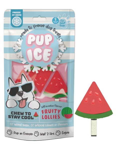 Spot Ethical Pet Dog Treat Pup Ice Fruity Lollies Watermelon Flavor 3oz