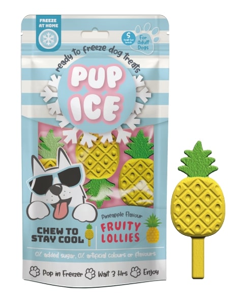Spot Ethical Pet Dog Treat Pup Ice Fruity Lollies Pineapple Flavor 3oz