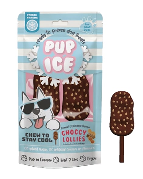 Spot Ethical Pet Dog Treat Pup Ice Choccy Lollies Chocolate & Peanut Butter Flavor 3oz