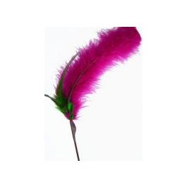 go cat cat tails colors assorted