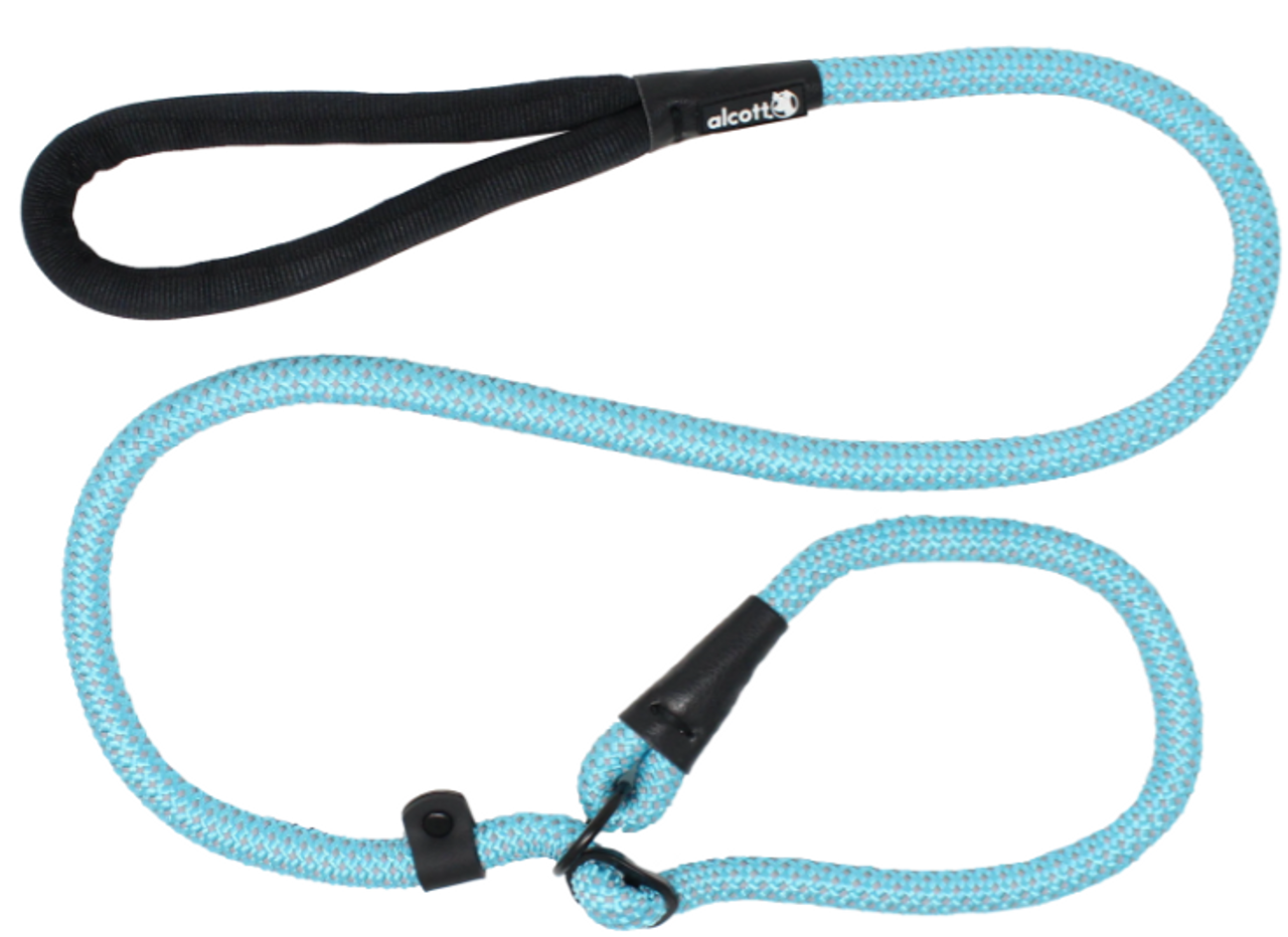 Alcott Slip Lead Large Blue