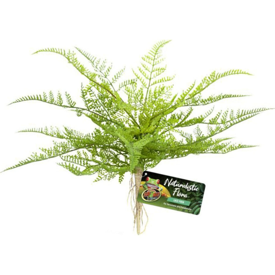 Zoo Med Laboratories BU-62 Naturalistic Flora Lace Fern