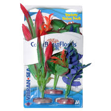 Blue Ribbon Pet Products Colorburst Florals Plant Variety Pack  Medium