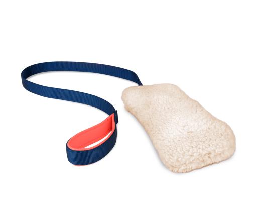 Coachi Chase & Crinkle Toy for Dogs