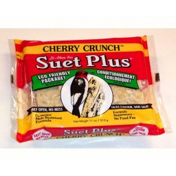 Suet Plus Wild Bord Suet Cake 11oz Cherry Crunch