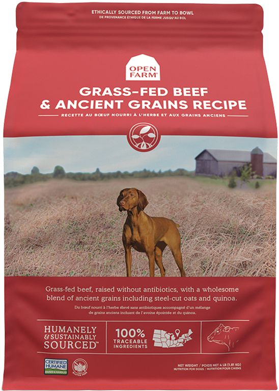Open Farm 4lb Ancient Grains Beef