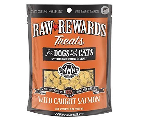 NW Naturals Raw Rewards Salmon Freeze Dried Dog Treats 2.5 Oz