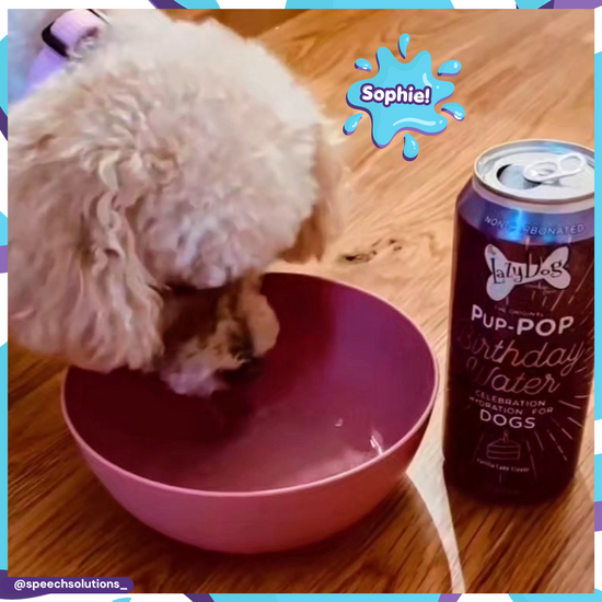 Lazy Dog Pup-POP® Birthday Water Vanilla Cake Flavor 15.5oz