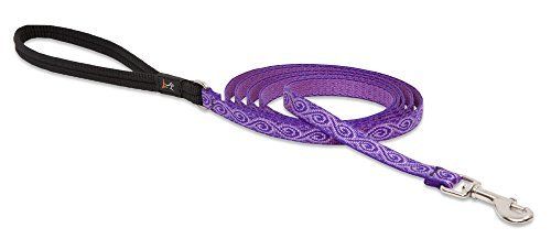 Lupine 1/2in Jelly Roll 6  Leash