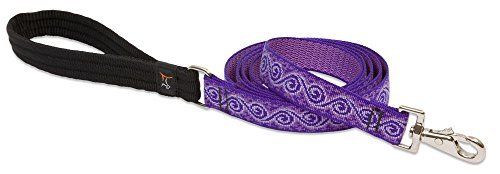Lupine 1in Jelly Roll 6ft Leash