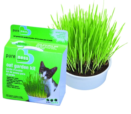 Van Ness Cat Grass Oat Garden Kit