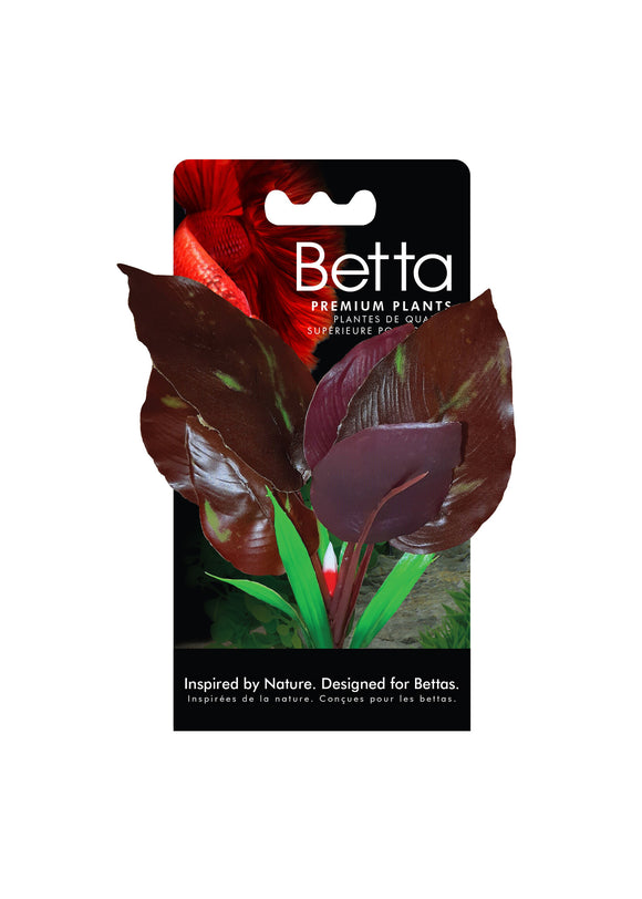 Fluval Betta Red Lizard Plant 6 in