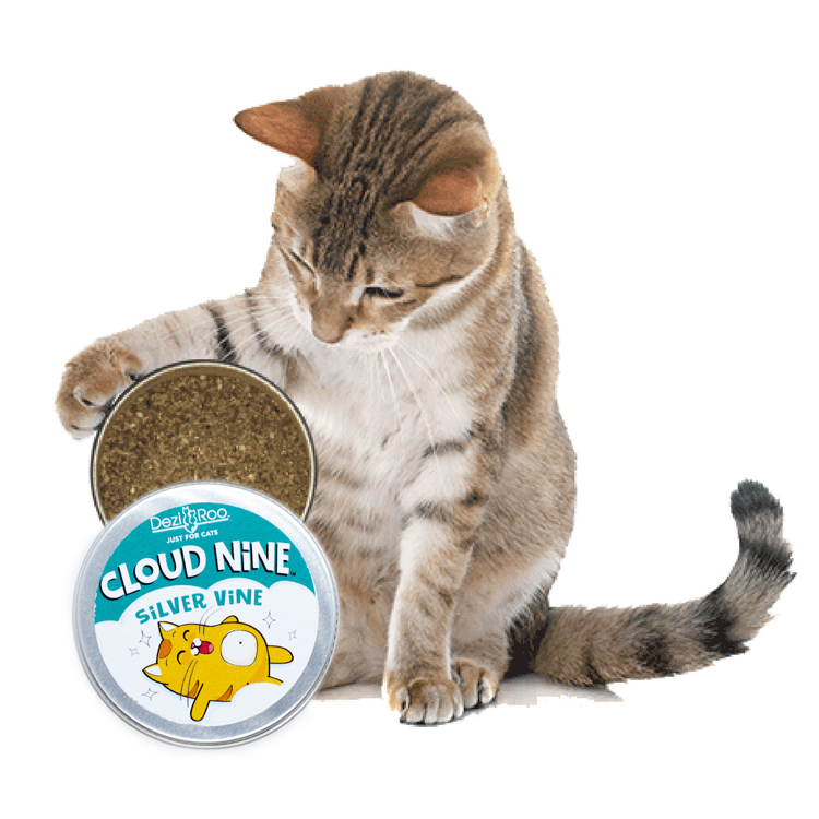 Dezi & Roo Cloud Nine Silver Vine Cat Attractant Medium