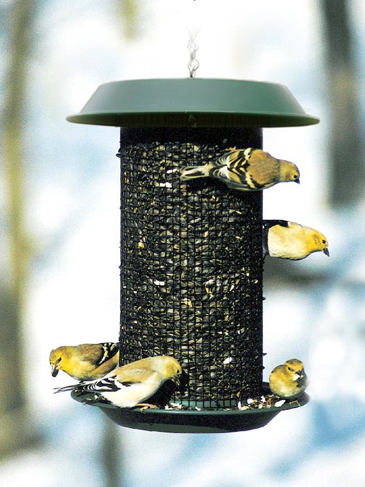 Wood Link Magnum Sunflower Feeder