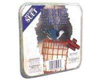 C&S Suet for wild Birds 11oz Berry Treat