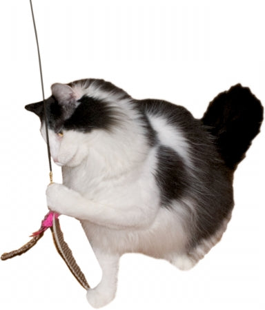 Da Bird Cat n Around Wand Cat Toy