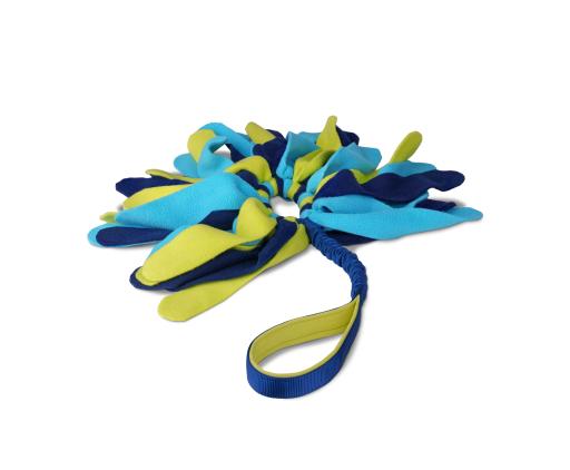 Coachi Tuggi Spider Toy for Puppies
