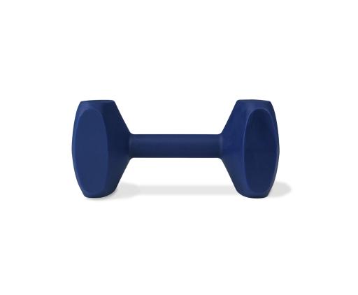 Coachi Small Dumbbell Weight for Dog Training