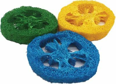A&E Cage Co Nibbles Loofah Slice Chew