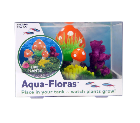 Penn Plax Tide & Treasure aqua-floras Mushroom Patch Medium Grows LIVE Plants