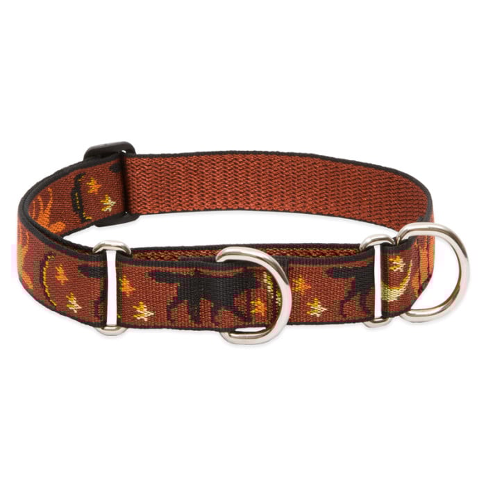 Lupine Pet Dog 1 In Wide 15-22 In Martingale Collar Original Designs Shadow Hunter