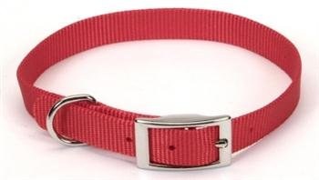 Coastal 3/4 inch x 16 inch Collar Red
