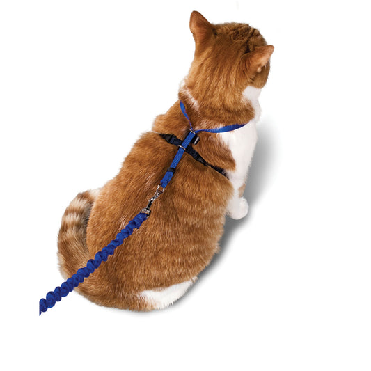 PetSafe Come With Me Kitty Harness and Bungee Leash Medium Blue