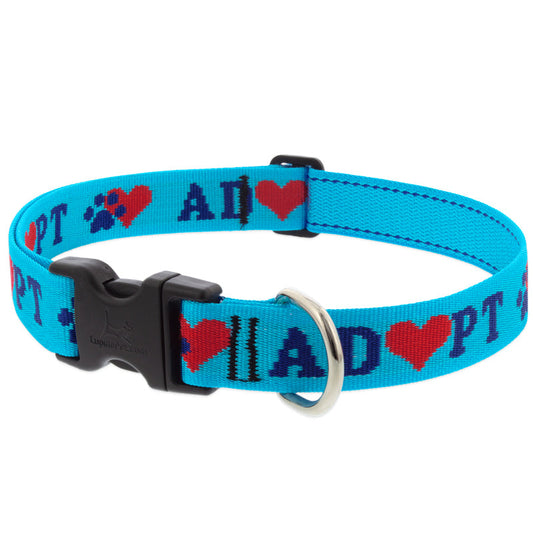 Lupine Pet Dog 1 In Wide 16-28 In Adjustable Collar Original Designs Adopt