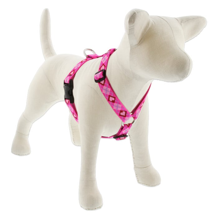 Lupine Pet Dog 3/4 In 20-32 In Roman Harness Original Designs Puppy Love