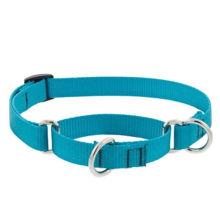 Lupine Pet Dog 3/4 In Wide 14-20 In Martingale Collar Basic Aqua