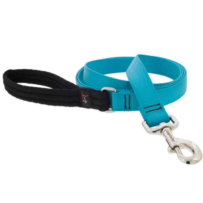 Lupine Pet Dog 6 Ft Long 1 In Leash Basics Aqua