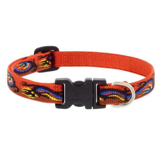 Lupine Pet Dog 1 In Wide 16-28 In Adjustable Collar Microbatch Lucky Dragon