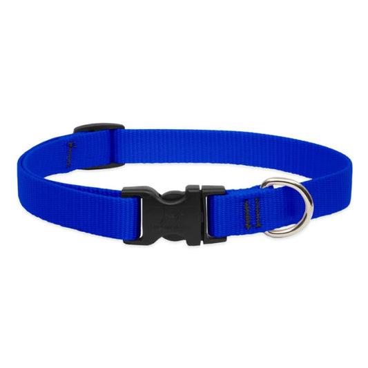 Lupine Pet Dog 3/4 In Wide 13-22 In Adjustible Collar Basic Blue