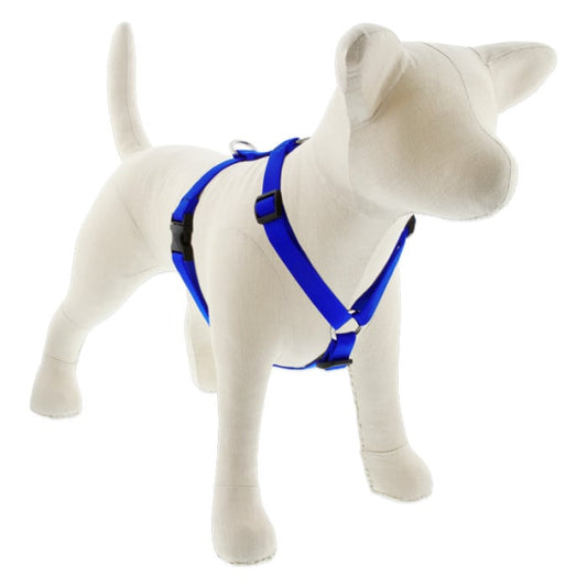 Lupine Pet Dog 3/4 In Wide 12-20 In Roman Harness Basics Blue