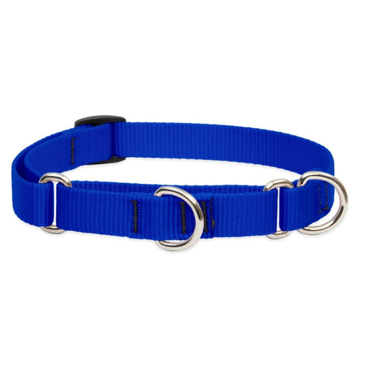 Lupine Pet Dog 3/4 In Wide 10-14 In Martingale Collar Basics Blue