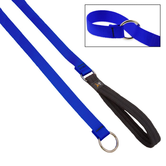 Lupine Pet Dog 6 Ft Long 3/4 In Slip Lead Basics Blue