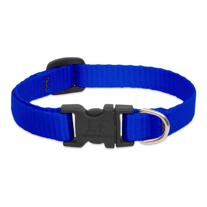Lupine Pet Dog 2/4 In Wide 9-14 In Adjustable Collar Basic Blue