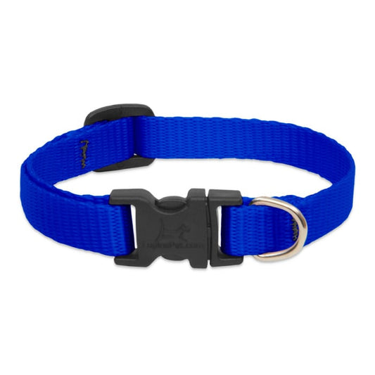 Lupine Pet Dog 2/4 In Wide 9-14 In Adjustable Collar Basic Blue