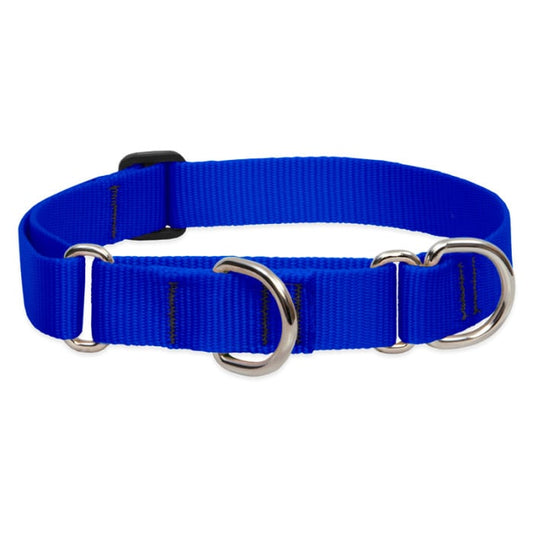 Lupine Pet Dog 1 In Wide 19-27 In Martingale Collar Basic Blue