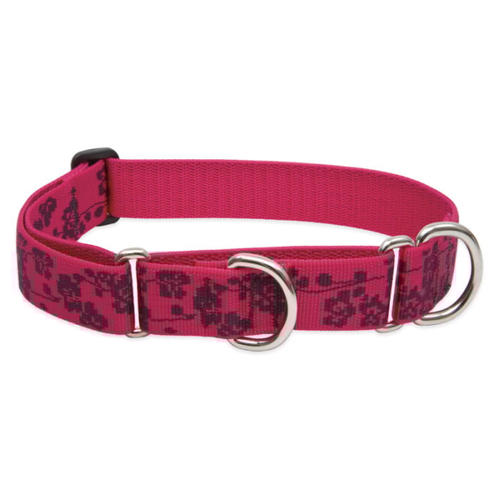 Lupine Pet Dog 1 In Wide 19-27 In Martingale Collar Original Designs Plum Blossom