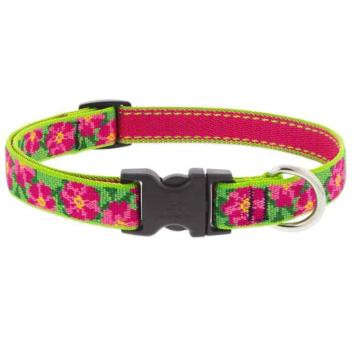 Lupine Pet Dog 3/4 In Wide 13-22 In Adjustible Collar Original Designs Petunias