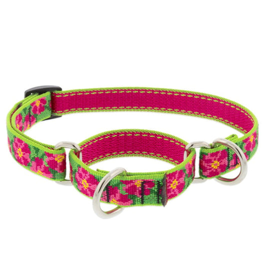 Lupine Pet Dog 1 In Wide 19-27 In Martingale Collar Original Designs Petunias