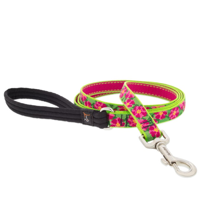 Lupine Pet Dog 6 Ft Long 3/4 In Leash Original Designs Petunias