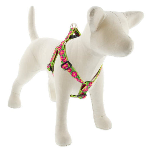 Lupine Pet Dog 1 In Wide 19-28 In Step  In Harness Original Designs Petunias