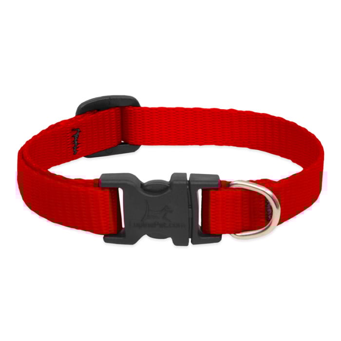 Lupine Pet Dog 2/4 In Wide 9-14 In Adjustable Collar Basic Red