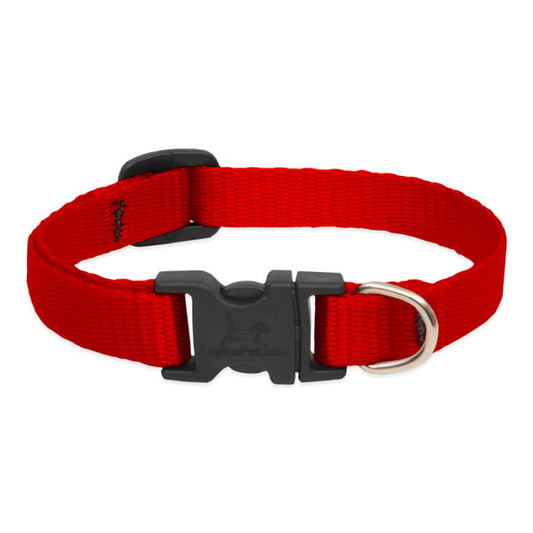 Lupine Pet Dog 1 In Wide 16-28 In Adjustable Collar Basics Red