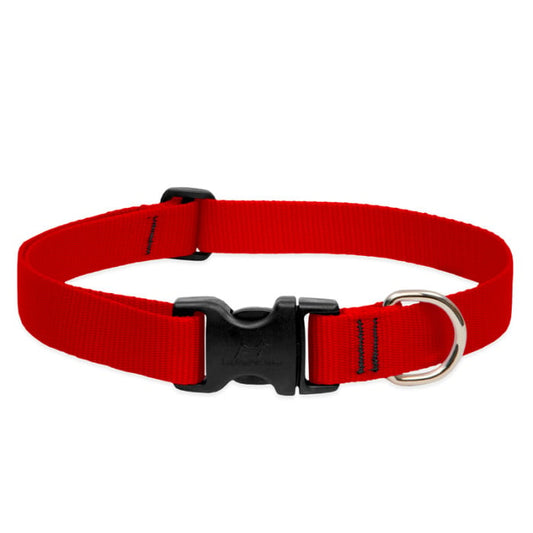 Lupine Pet Dog 1 In Wide 12-20 In Adjustable Collar Basics Red