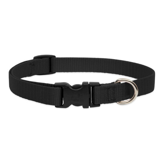 Lupine Pet Dog 3/4 In Wide 13-22 In Adjustible Collar Basic Black