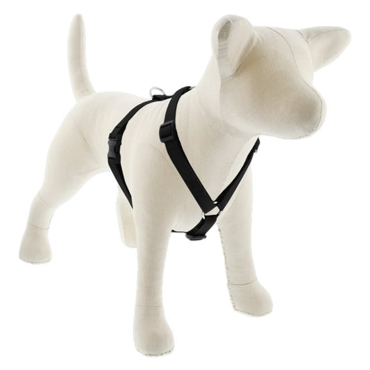 Lupine Pet Dog 3/4 In Wide 12-20 In Roman Harness Basics Black