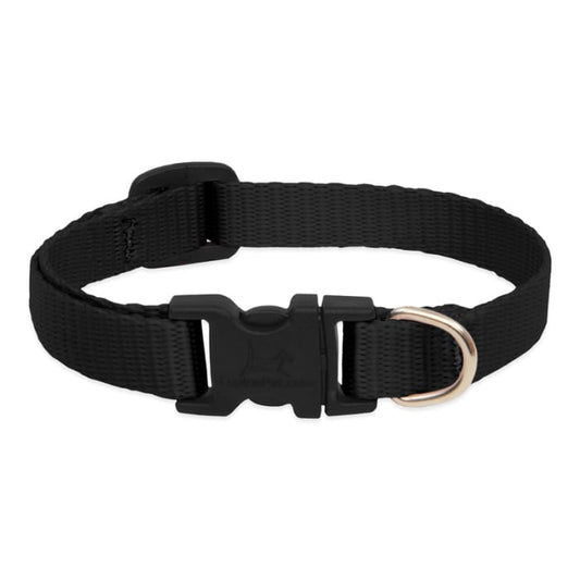 Lupine Pet Dog 1 In Wide 16-28 In Adjustable Collar Basics Black